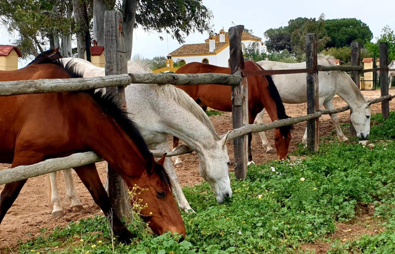 Posada Rural La Corbera อูเตรรา ภายนอก รูปภาพ